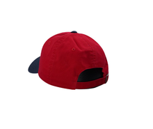 Load image into Gallery viewer, Casquette American Needle Florida Panthers

