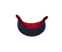 Load image into Gallery viewer, Casquette American Needle Florida Panthers
