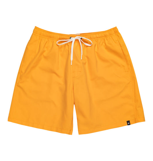 Short DC Shoes Stryker