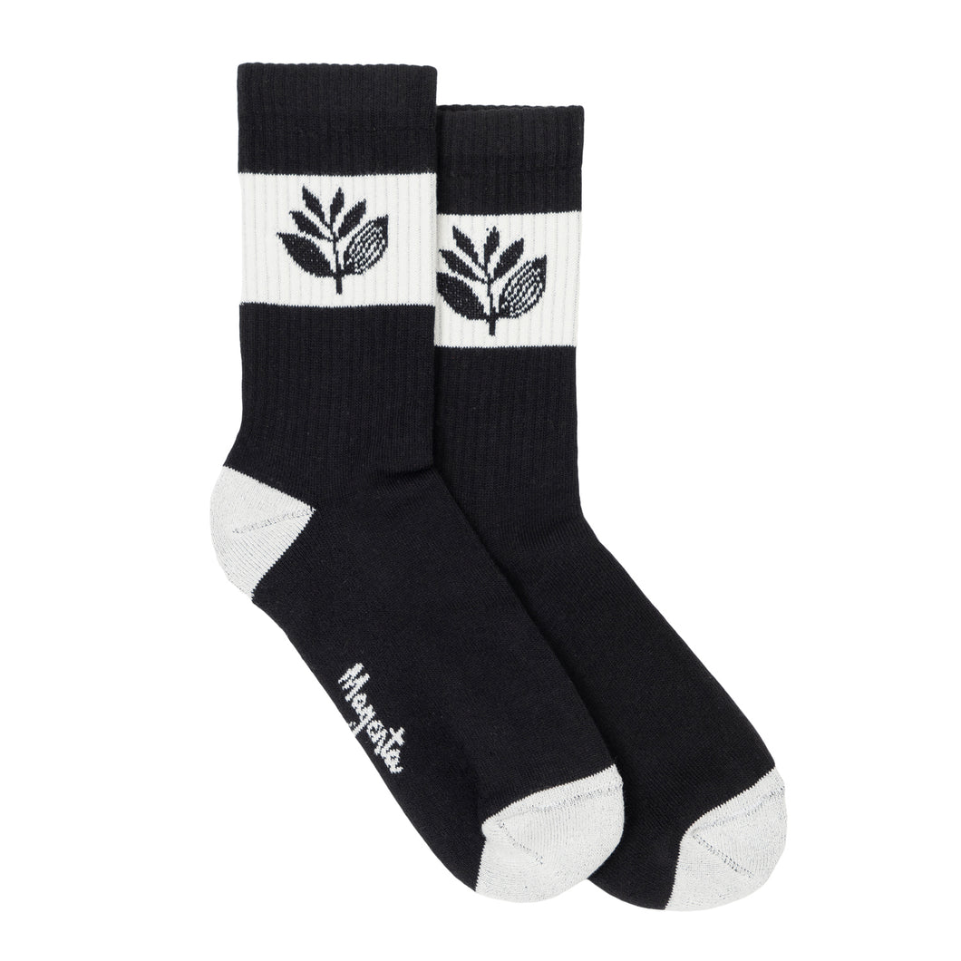 Magenta Stripe Socks