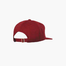 Load image into Gallery viewer, Casquette DGK Allstar
